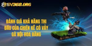 Đánh giá khả năng thi đấu của chiến kê có vảy gà nội hoa đăng