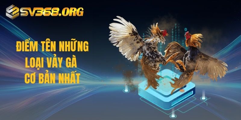 Điểm tên những loại vảy gà cơ bản nhất