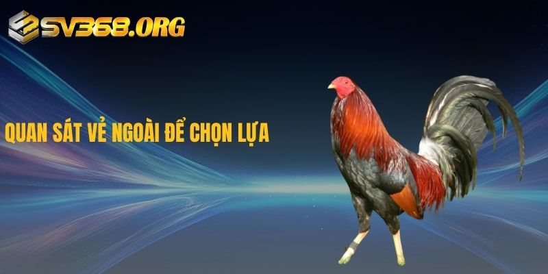 Quan sát vẻ ngoài để chọn lựa