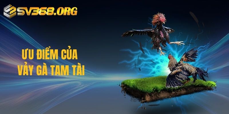 Ưu điểm của vảy gà tam tài